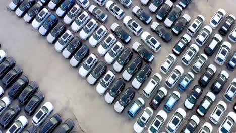 drone bird view of parking lot from above in daytime. there is a lot of cars parked in the parking lot, new car video material produced in car factory