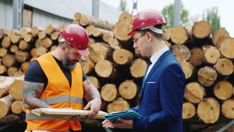 Two-engineers-study-the-drawings-with-scaffolding-in-the-background-6