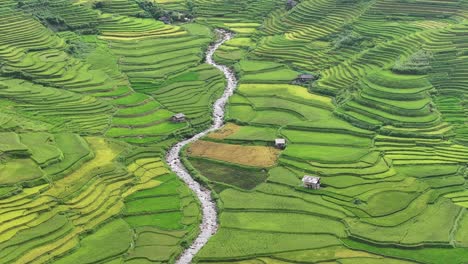 aerial view of rice terraces field in mu cang chai, vietnam