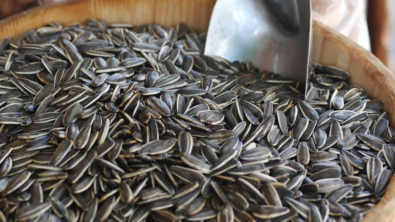 나무 그 에 검은색 과 색 의 꽃 씨 을 어 놓은 것