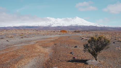 paisaje desértico en la meseta central del parque nacional de tongariro con el monte ruapehu en segundo plano