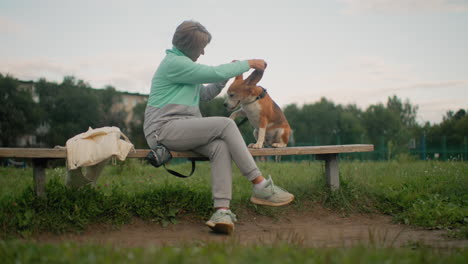 dog owner seated on podium bench gently teaches happy beagle how to greet by lifting paw during outdoor training session in grassy field under clear sky with joyful interaction and bonding moment