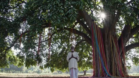 indian senior guru with a white beard and traditional clothing, praying with joined hands under a sacred banyan tree adorned with colorful ribbons at sunrise