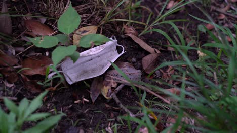 Dirty-Used-Face-Mask-Thrown-On-The-Forest-Ground---close-up