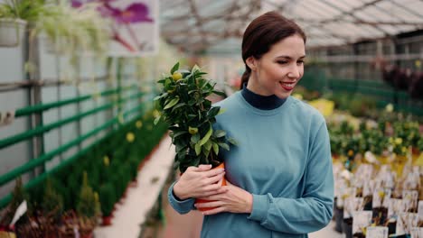 Woman-carrying-pot-with-a-small-lemon-tree-in-greenhouse