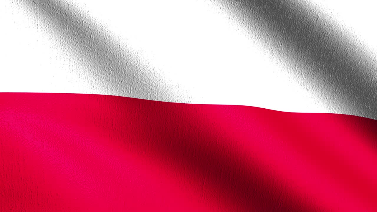 폴란드 국기 바람에 날아다니는 고립 된 공식 애국적 추상 디자인 3d 렌더링 기호의 일러스트레이션