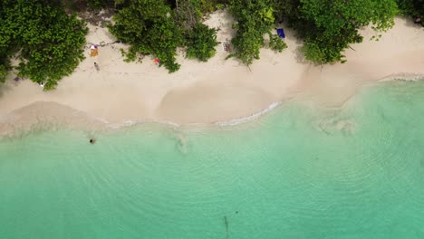 Cayo-Zapatilla-Island,-Bocas-Del-Toro,-Panama