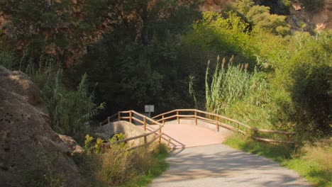 Crossing-Bamboo-Bridge-hike-over-the-Tropical-Rainforest-Jungle