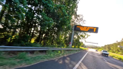 car travels on a sunlit forest road