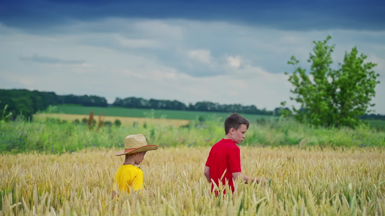 Little farmers walking on yellow field. Elder brother telling about agricultural plants to his younger brother. Slow motion.