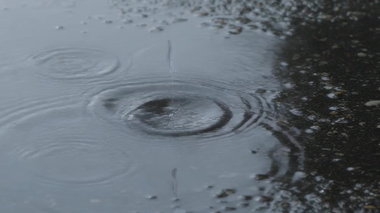 Gouttes de pluie tombantes frappant une flaque d'eau sur le trottoir sous une pluie constante, formant des cercles à la surface.