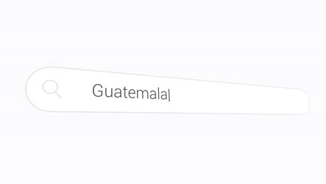 typing guatemala in the computer browser - close up