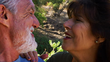 una pareja hispana anciana y amorosa caminando juntos por un sendero en el campo