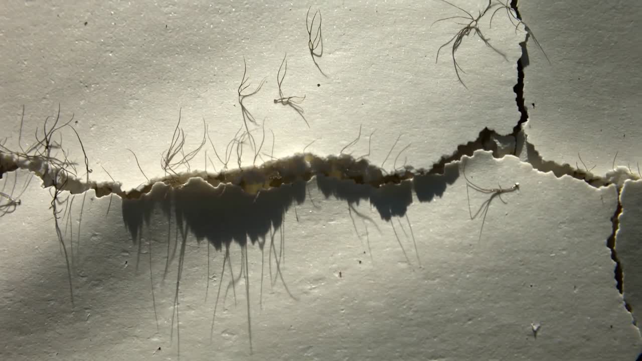 Showing torn white paper ridge shifting as studio light shifting, fibers and cracks casting shadows