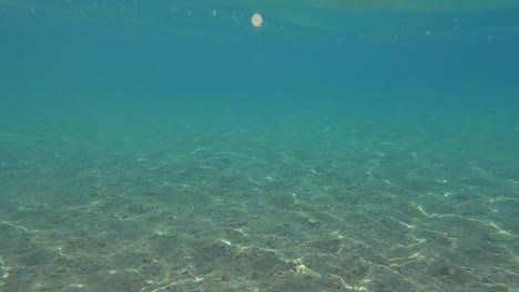 Debajo-Y-Sobre-La-Superficie-Del-Mar-En-Un-Día-Soleado