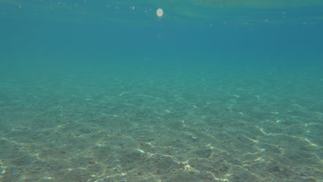 bajo y sobre la superficie del mar en un día soleado