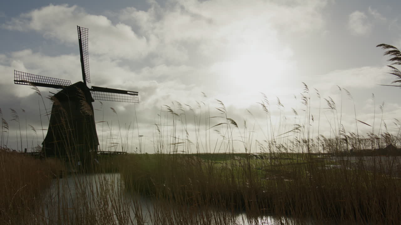 Breedbeeld van een historische windmolen in een landelijk landschap met riet, water en een kalme lucht, die een traditioneel erfgoed, een landelijke sfeer en een tijdloos landschap uitstraalt