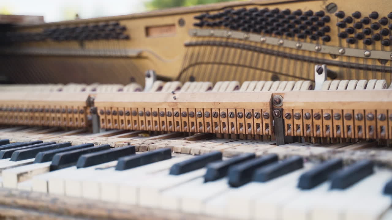 ⁇ 은 깨진 직립 피아노가 야외에 앉아 있습니다.