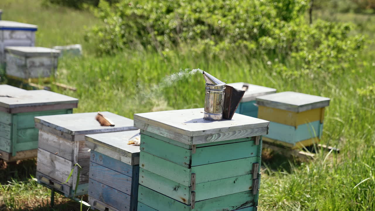Beehives in a field