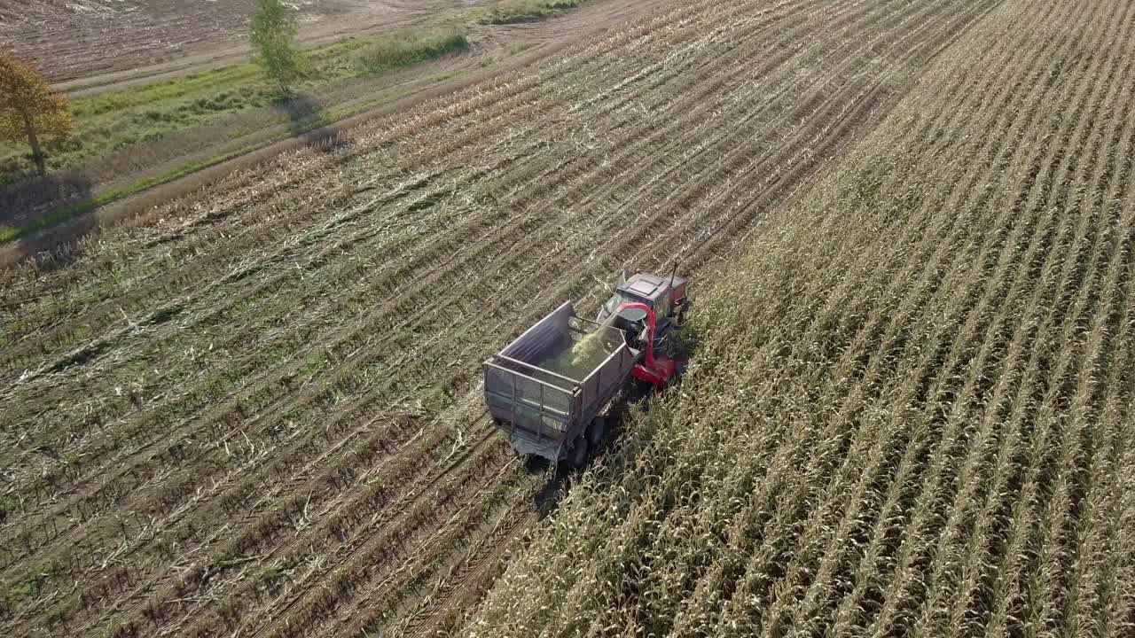 detalle del tractor agrícola para la cosecha de maíz