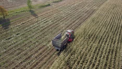 Detail-of-agricultural-tractor-harvesting-corn