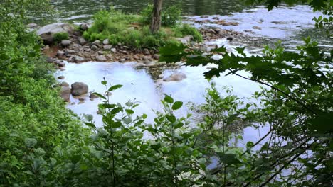 Die-Kamera-Neigt-Sich-Und-Zeigt-Einen-Ruhigen-Fluss-Mit-Zweigen-Und-Blättern-Im-Vordergrund