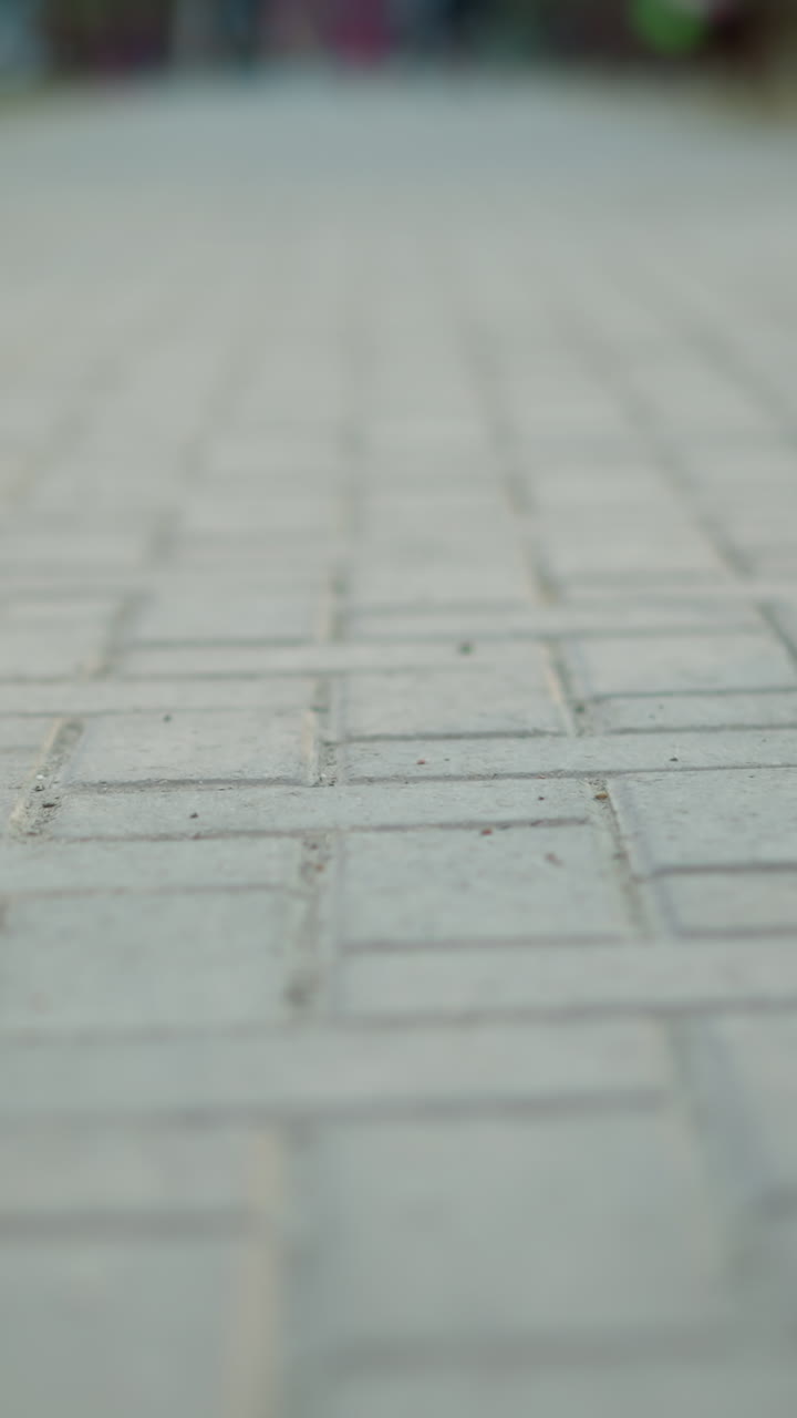 una toma de un camino pavimentado del parque, con la cámara centrada en el intrincado patrón de ladrillos de piedra. el fondo está intencionalmente borroso, insinuando el movimiento sutil de la gente en la distancia