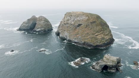 playful seals and sea lions, sunning themselves on the rocks