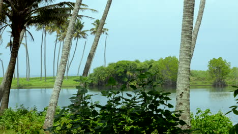 tropical beaches in India kerala with coconut trees and lakes