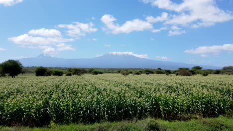 Drone-flying-in-farms-in-kilimanjaro-slopes--Green-Kenya-farms,-poor-settlement-africa-aerial-agronomic-plantation