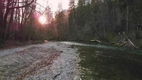 4K-UHD-low-aerial-drone-flight-moving-along-a-river-with-green-water-in-a-forest-by-sunset-in-Bavaria-close-to-the-Alps-in-springtime-in-Germany-near-Austria