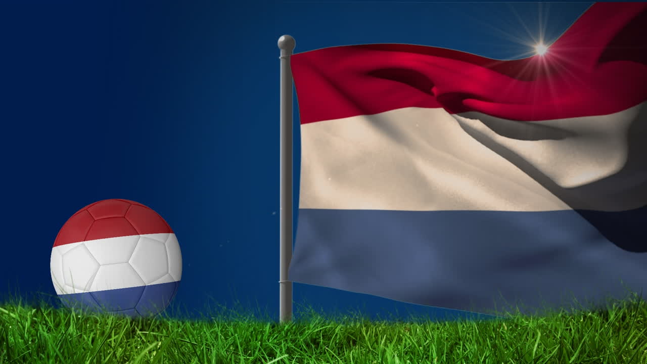 프랑스  ⁇ 발과 축구 경기장 위의 애니메이션