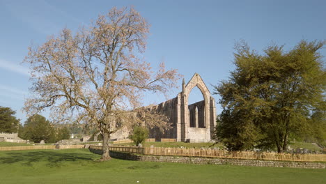 Panning-Out-Shot-of-Bolton-Abbey-Ruins-on-Beautiful-Summer’s-Morning-in-Yorkshire,-England-with-Lone-Bird-flying-through-Frame