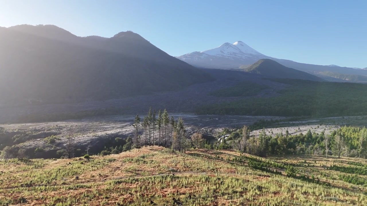 Aerial view descending from forested ridge overlooking Truful Truful river valley, dark lava flows, and snowcapped Llaima volcano. Clear blue sky, midday sunlight. Conguillio National Park