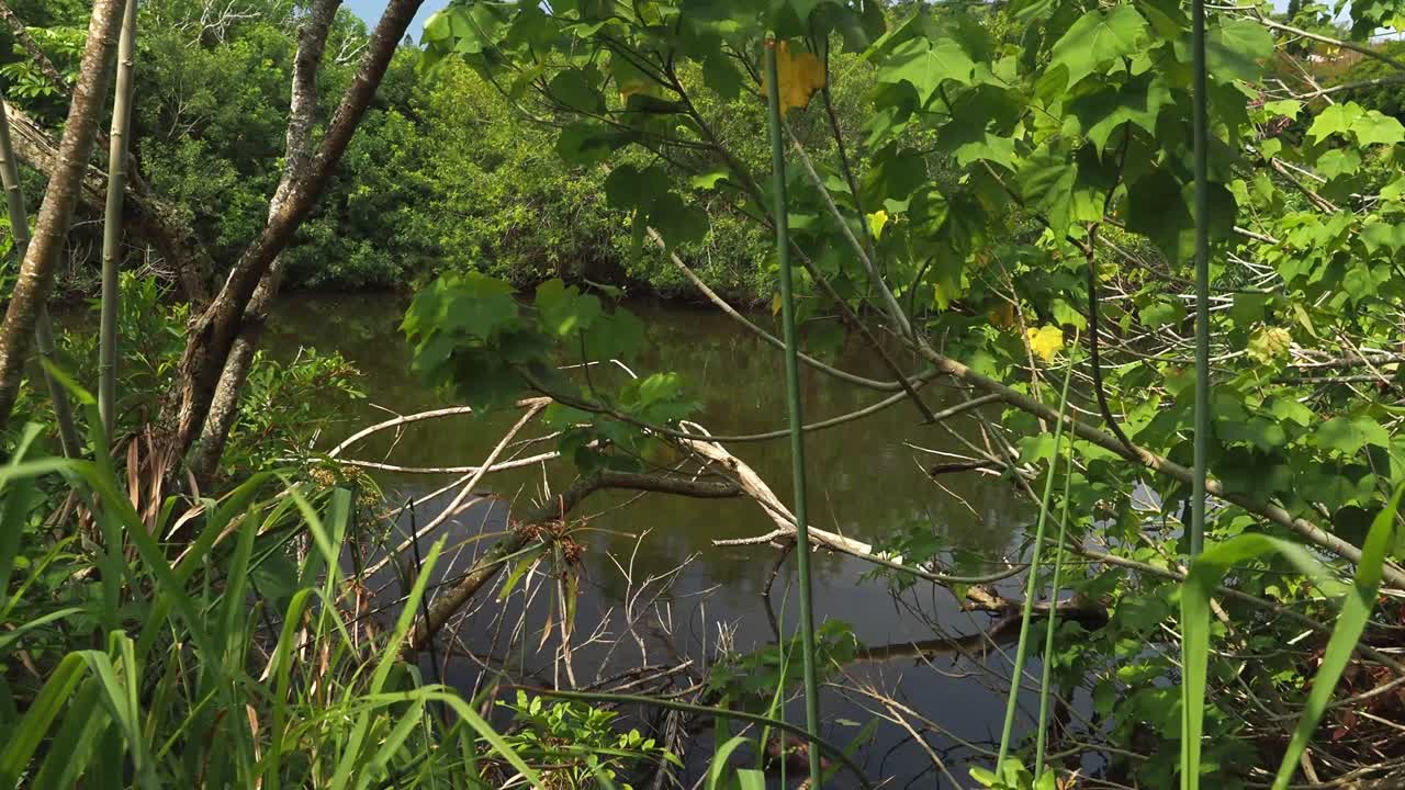시모어의 농장 자연 보호 구역, 버뮤다