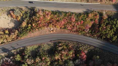 Top-down-aerial-tilt-of-canyon-road-and-fall-trees-Utah,-USA