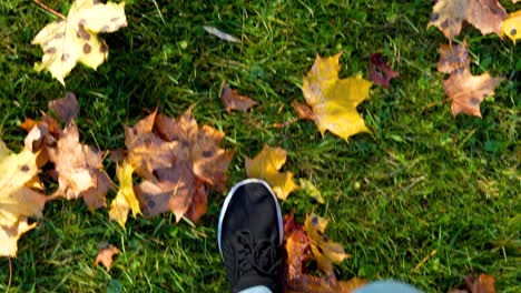 Persona-Caminando-Sobre-Hojas-Secas-De-Otoño-En-Tierra-De-Hierba-Verde,-Letonia