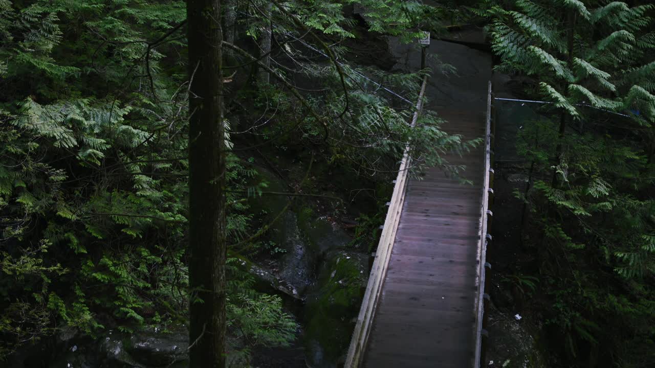 toma panorámica de un puente sobre acantilados en lynn valley en el norte de vancouver, columbia británica, canadá