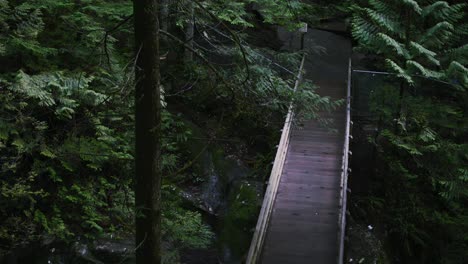 Pan-up-Shot-of-a-bridge-over-cliffs-in-Lynn-Valley-in-North-Vancouver-British-Columbia,-Canada