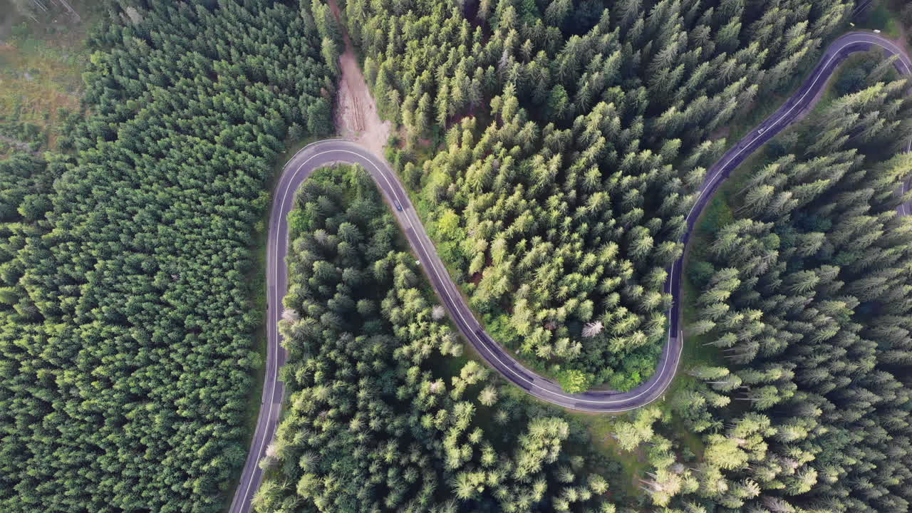 A breathtaking view of a winding road amidst a thick forest. The vibrant greenery contrasts with the curves of the road, creating a peaceful and inviting atmosphere for nature lovers