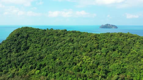 uninhabited green thailand island with exotic vegetation and preserved nature