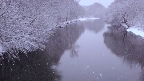 snow is slowly falling over the blue springs natural reserve in poland