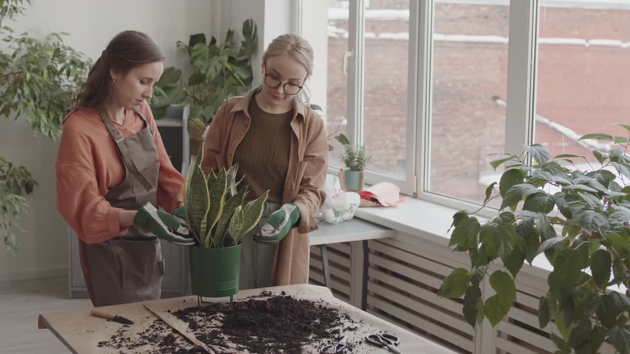 Women Adding Soil into Flower Pot