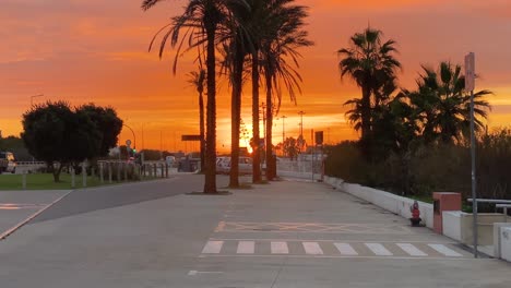 Palmeras-Solitarias-En-El-Aparcamiento-Y-Espectacular-Puesta-De-Sol-En-La-Playa-Vacía-En-La-Carretera-Marginal,-Carcavelos