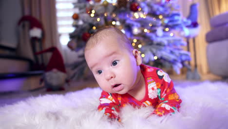 little baby just learning to hold his head lies on belly on white plaid. infant boy in festive clothes lies near christmas tree. close up.