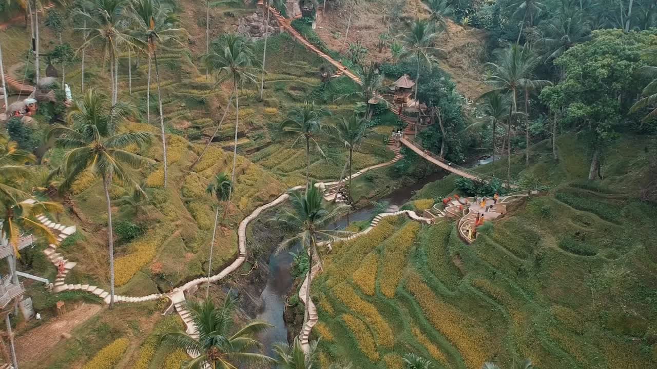 Terrazze di riso a Ubud, Bali, Indonesia.