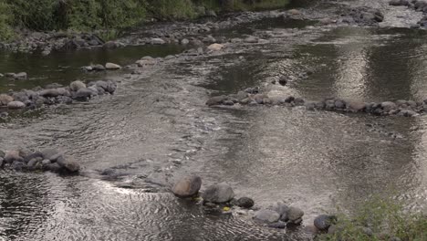 Mittlere-Sicht-Auf-Christmas-Creek-Im-Malerischen-Rand-Neben-Dem-Campingplatz-Burgess-Park