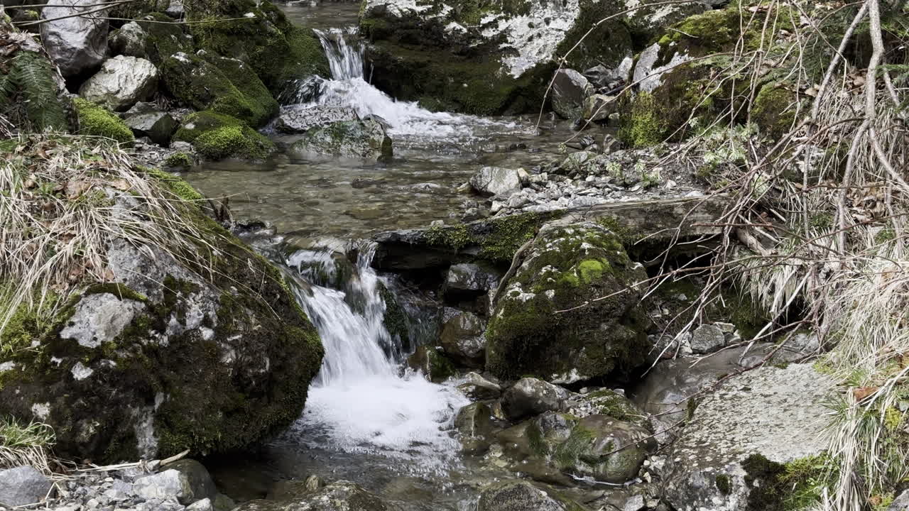 Close-up of a stream flowing into the stones with tree branches Switzerland