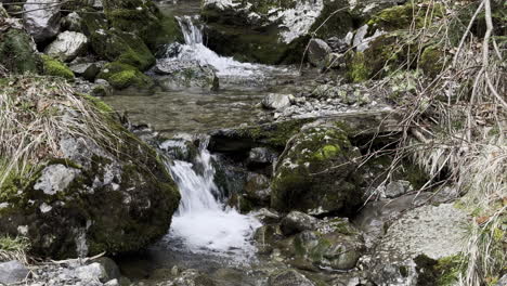 primer plano de un arroyo que fluye en las piedras con ramas de árboles suiza