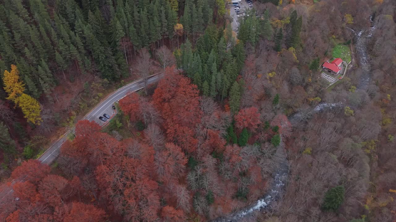 A top-down drone shot captures a red forest and river, gradually revealing the surrounding landscape and the historic Rila Monastery